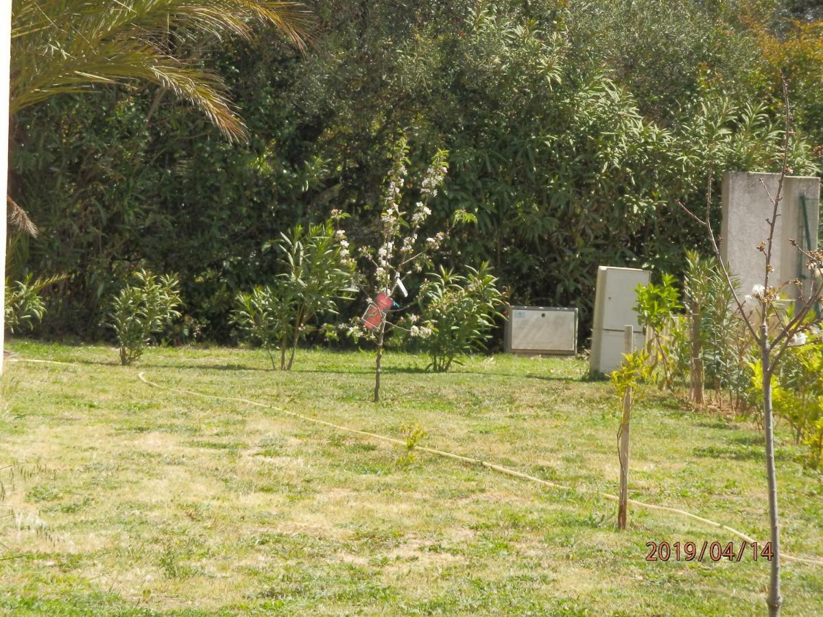 Location Vacances Linguizzetta Exterior photo
